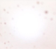 Buy Theres A Riot Going On