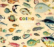 Buy Much Much How How And I