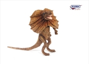 Buy Frilled Neck Lizard 40cm