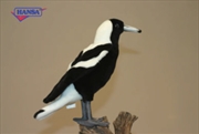 Buy Magpie 26cm
