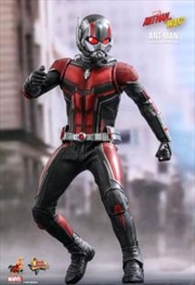 Ant Man 1 To 6 Scale Action