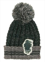 Buy Slytherin Heathered Pom Beanie
