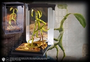 Buy Fantastic Beasts and Where to Find Them - Bowtruckle Magical Creatures