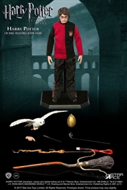 Harry Potter - Harry Triwizard Last Game Version 1:8 Action Figure | Merchandise