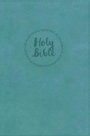 Buy Niv Value Thinline Bible: Large Print