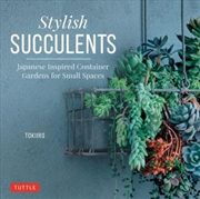Buy Stylish Succulents Japanese Inspired Container Gardens for Small Spaces