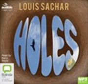 Buy Holes