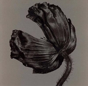 Buy Release: 2017 Remastered