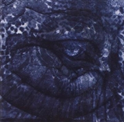 Buy Blue Cathedral (Import)