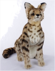 Buy African Serval Cat Standing 48