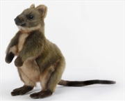 Buy Quokka 22cm H