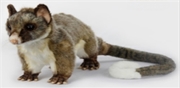 Buy Brush Tail Possum Standing 21