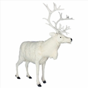 Buy White Reindeer 165cm H