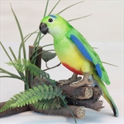 Buy Orange Breasted Parrot 12cm H