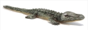 Crocodile Salt Water 70cm L | Toy