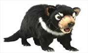 Buy Tasmanian Devil 60cm L