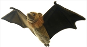 Buy Flying Fox 67cm W