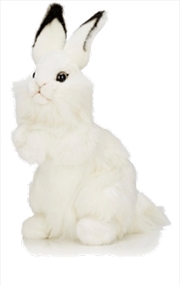 Buy White Rabbit 32cm H
