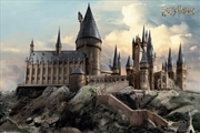 Buy Harry Potter - Hogwarts Day