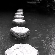 Buy Harps Old Master