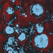 Buy Infinite Games - Exclusive Australian Artwork