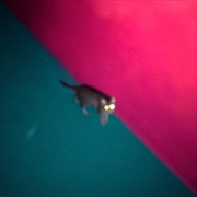 Buy Wallop - Green And Pink Coloured Vinyl