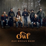 Buy Owl, The
