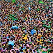 Buy Giants Of All Sizes