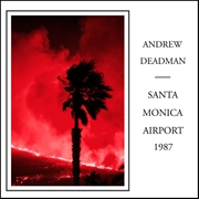 Buy Santa Monica Airport 1987