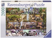 Buy Ravensburger - 2000pc Wild Kingdom Jigsaw Puzzle