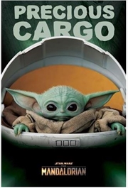 Star Wars: The Mandalorian - Precious Cargo | Merchandise
