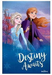 Frozen 2 - Destiny Awaits | Merchandise