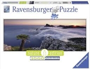 Buy Yosemite Park 1000 Piece