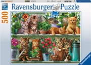 Buy Ravensburger - Cats on the Shelf Puzzle 500 Piece