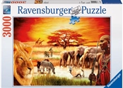 Buy Ravensburger - Proud Maasai Puzzle 3000 Piece