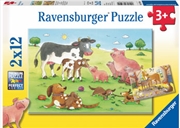 Animals Children 2x12 Piece Puzzle | Merchandise