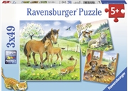 Ravensburger - Cuddle Time Puzzle 3x49 Piece | Merchandise