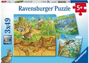 Ravensburger - Animals in their Habitats Puzzle 3x49 Piece | Merchandise