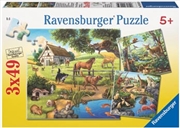 Buy Ravensburger - Forest Zoo & Pets Puzzle 3x49 Piece
