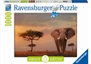 Ravensburger - Elephant of the Massai Mara 1000pc | Merchandise