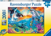 Ocean Wildlife 200 Piece Puzzle | Merchandise