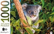 Koala Australia - Mindbogglers 1000 Piece Puzzle | Merchandise