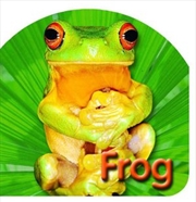 Steve Parish Board Book: Frog | Board Book