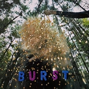 Buy Burst
