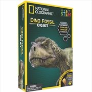 Dinosaur Dig Kit | Toy