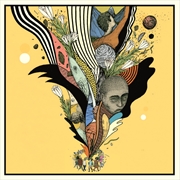 Buy Future Toyi Toyi / Crystallise