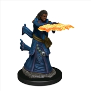 Buy Dungeons & Dragons - Icons of the Realms Premium Human Wizard Female