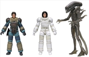 Alien - 40th Anniversary series 04 7" Action Figure Assortment | Merchandise