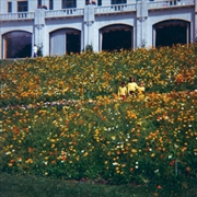 Buy Time Hasnt Changed You