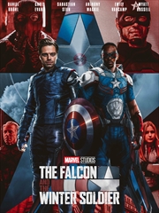 Falcon And The Winter Soldier | DVD